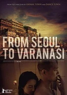 日韩内射美女片在线观看网站